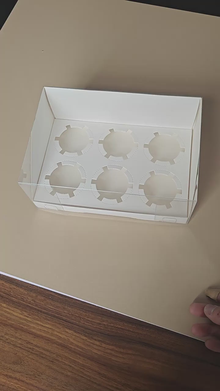 20 piece cupcake box with 6 hole